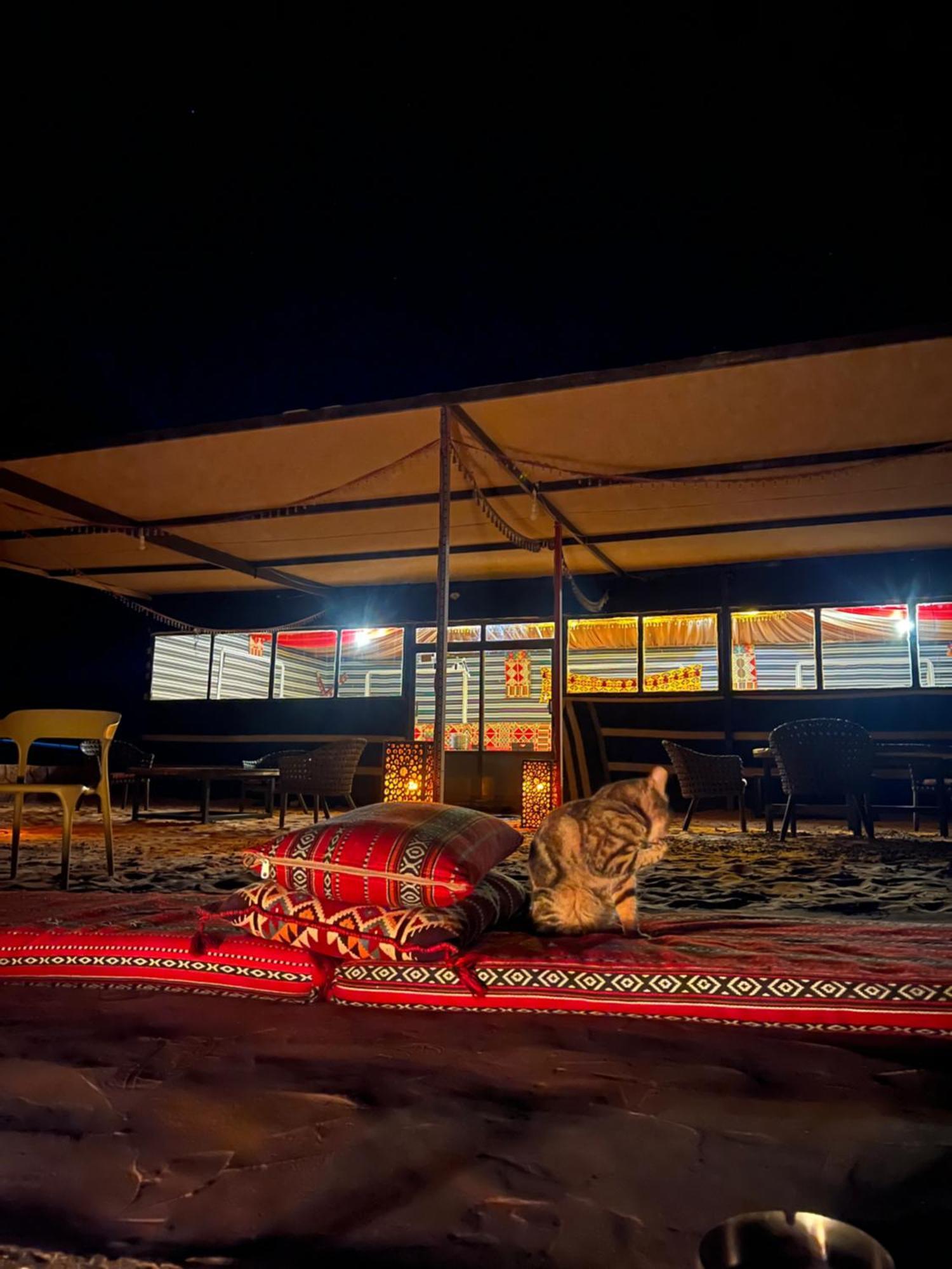 فندق Bedouin Life Camp وادي رم المظهر الخارجي الصورة